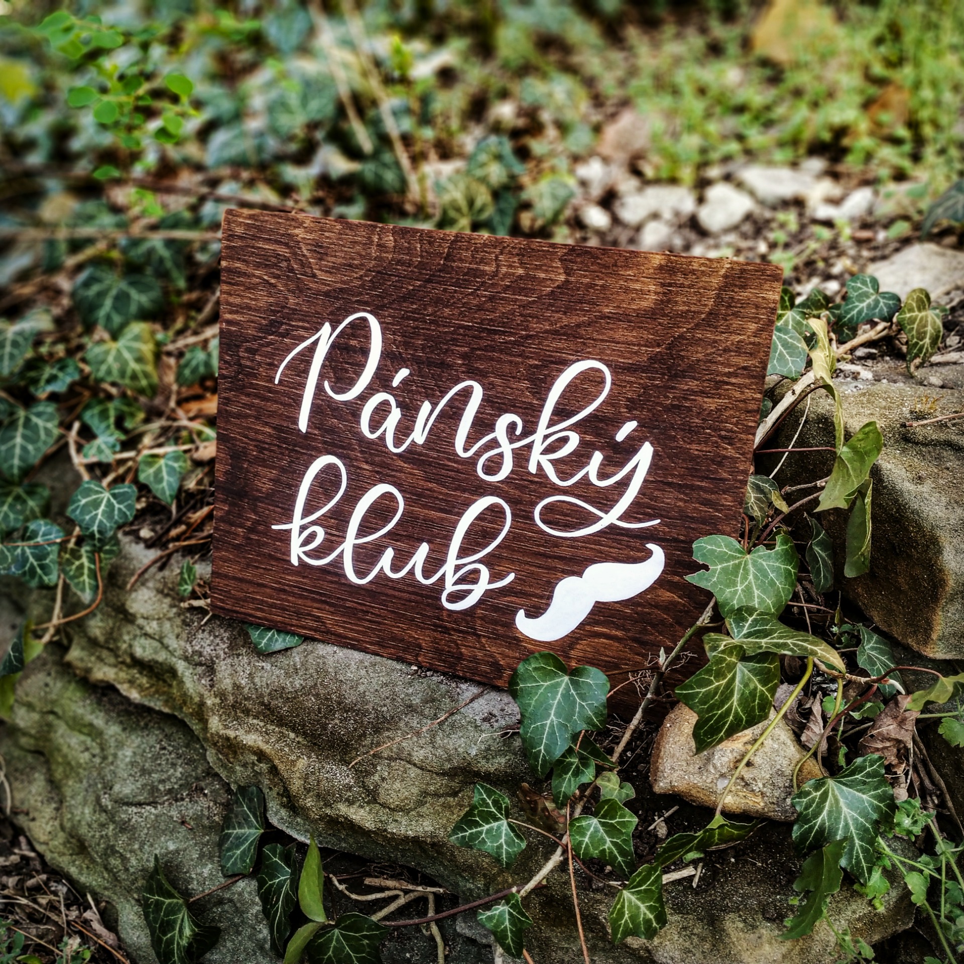Pánský klub